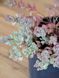 Очиток скельний видовий / Sedum Rupestre 21002 фото 1
