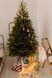 Ель обыкновенная новогодняя / Picea abies 33066 фото 2